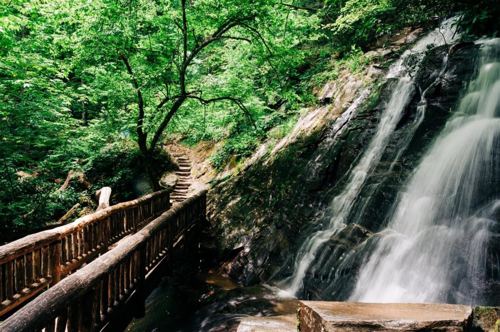 Hidden Star Hideaway-Blackberry Farm-Smoky Mtn Nat Park-Hot Tub- Fire Pit- Fenced Yard- Pet Friendly Walland Esterno foto